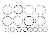 70025976 Seal Kit | JLG